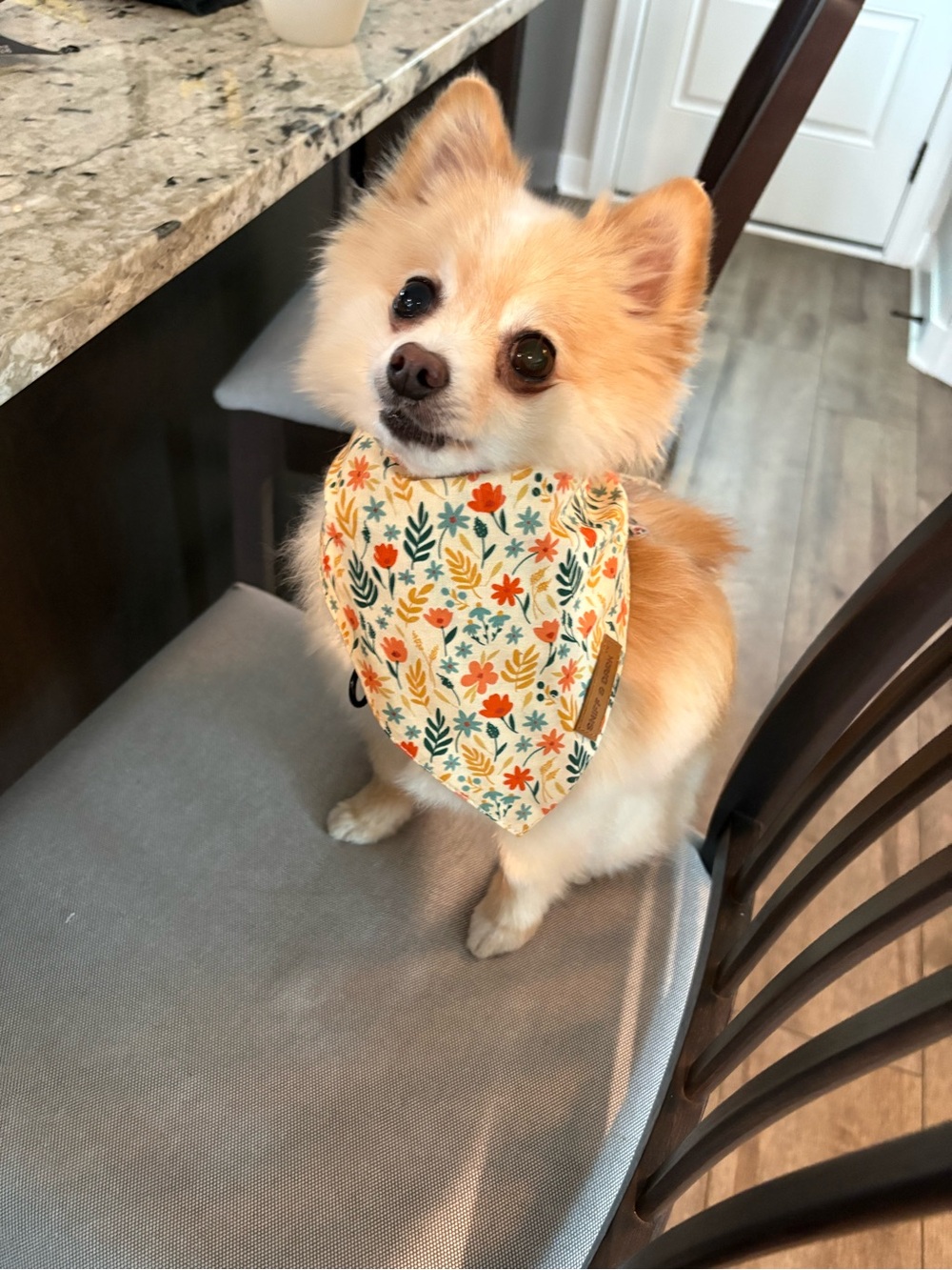 Bandana